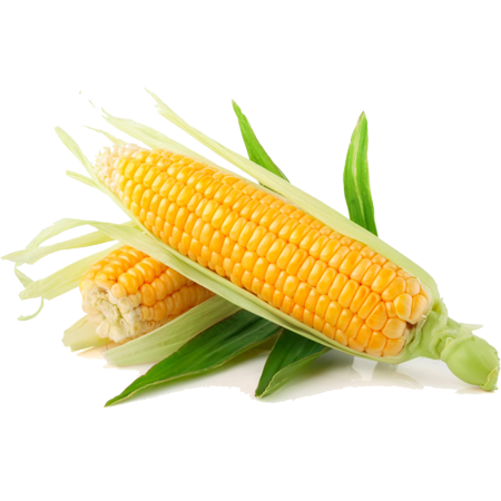 Nguyen Farms Ltd