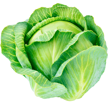 Nguyen Farms Ltd