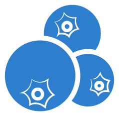 Nguyen%20Farms%20Ltd