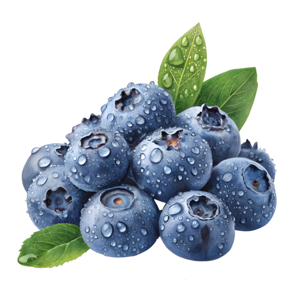 Nguyen%20Farms%20Ltd